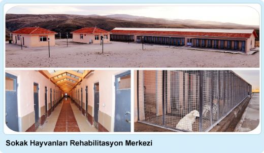 Hayvan Rehabilitasyon Merkezi